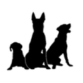 3 Dog Pet Supply Logo
