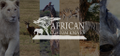 African Custom Knives Logo