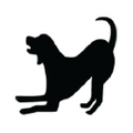 Ahimsa Dog Training Logo