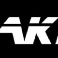 AKINGS Logo