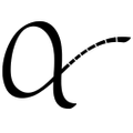 Anchal Project USA Logo