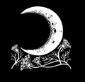 Andewyn Moon Logo