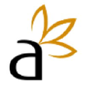 Aniise Logo