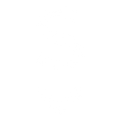 Ari South Logo