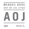 Art of Jiu Jitsu logo