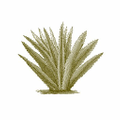 Aruba Aloe USA Logo