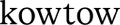 Kowtow Australia logo