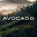 Avocado Green Mattress Logo