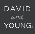 David and Young Wholesale USA Logo