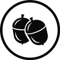 Ball Wash Logo