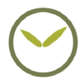 Bamboo Revolution Logo