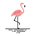 Beachflamingo.com Logo