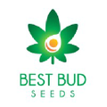 Best Bud Seeds logo