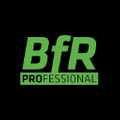 BfR Professional Logo
