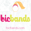 BIC Bands USA Logo
