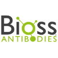 Bioss USA Logo