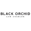 Black Orchid Denim Logo