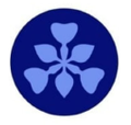 blueberryiris Logo