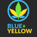 Blue + Yellow Logo