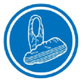 Blue Shoe Guys Logo