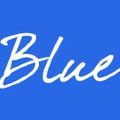 Blue Suede Shoes NY Logo