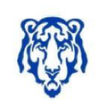 Blue Tiger Logo