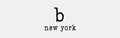 b new york Logo