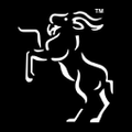 Boer & Fitch Logo