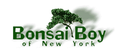 Bonsai Boy Logo