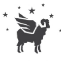 Borealis Wool Co. Logo