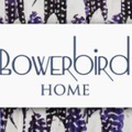 Bowerbird Logo