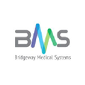 Bridgeway Medical sysytem logo