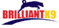 BrilliantK9 logo