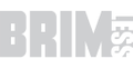 Brimless Caps Logo