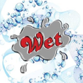 Buy Wet Logo