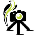 Camera Jungle logo