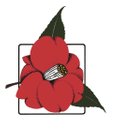 Camellia Forest Nursery Logo