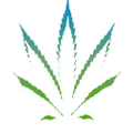 CBD BioCare Logo