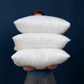 CBD Pillow Logo
