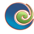 Central Vacuum Stores Logo