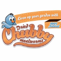 Chubby Mealworms USA Logo