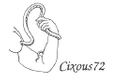 Cixous72 Logo