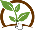 Clickatree Logo