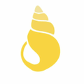 Conch Couture Logo