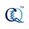 Corsets Queen Logo