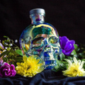 Crystal Head Vodka Logo