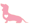 Dachshund Divas Logo