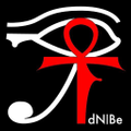 Dnbe Logo