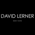 David Lerner Logo