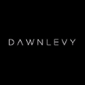 Dawn Levy USA Logo